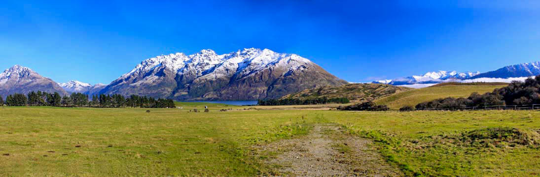 paradise, NZ sheepfield