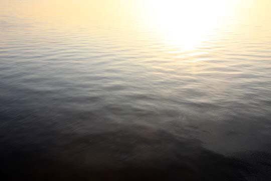 surface of the water_011