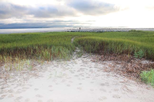 path to the crabs_052
