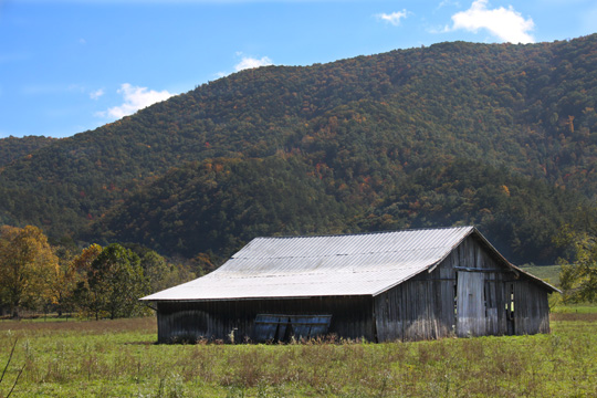 va_old barn near the creek 058