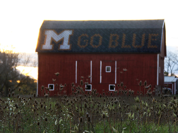m go blue barn_003