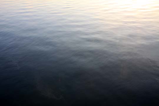 surface of the water_012