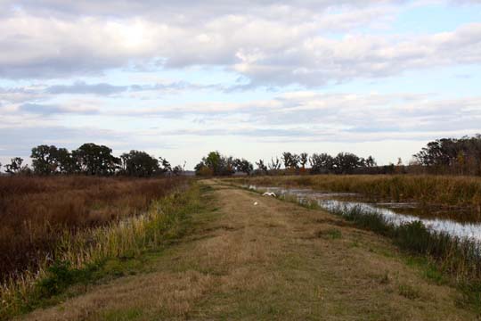 sc_hiking trail in the rice beds_113