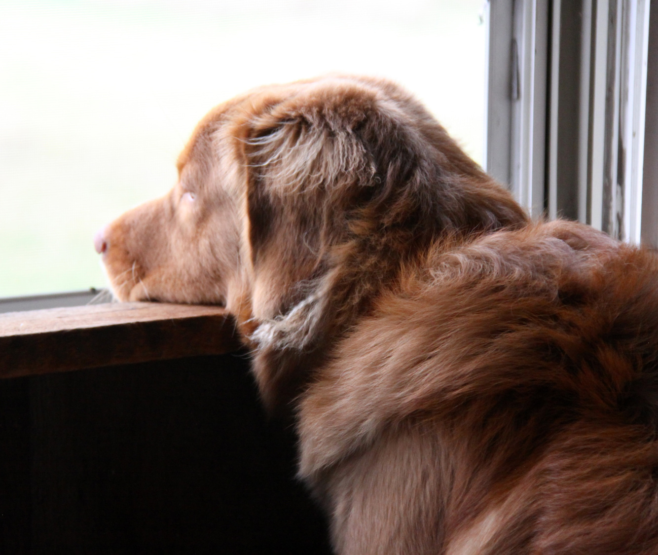 tucker waiting for Glenn