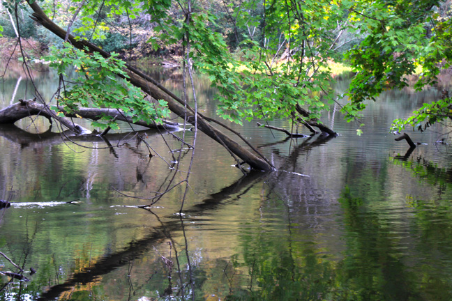 before the rapids is the calm_032