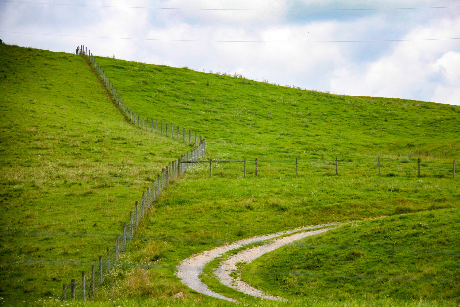 the road leading away