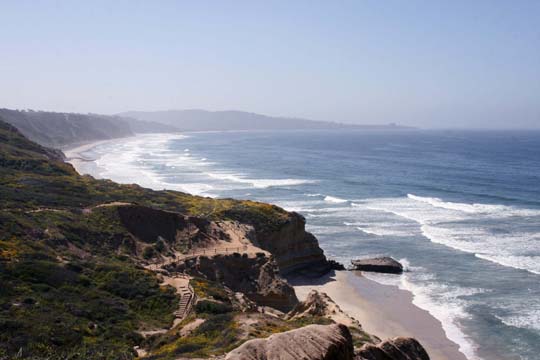 ca_torreypines.