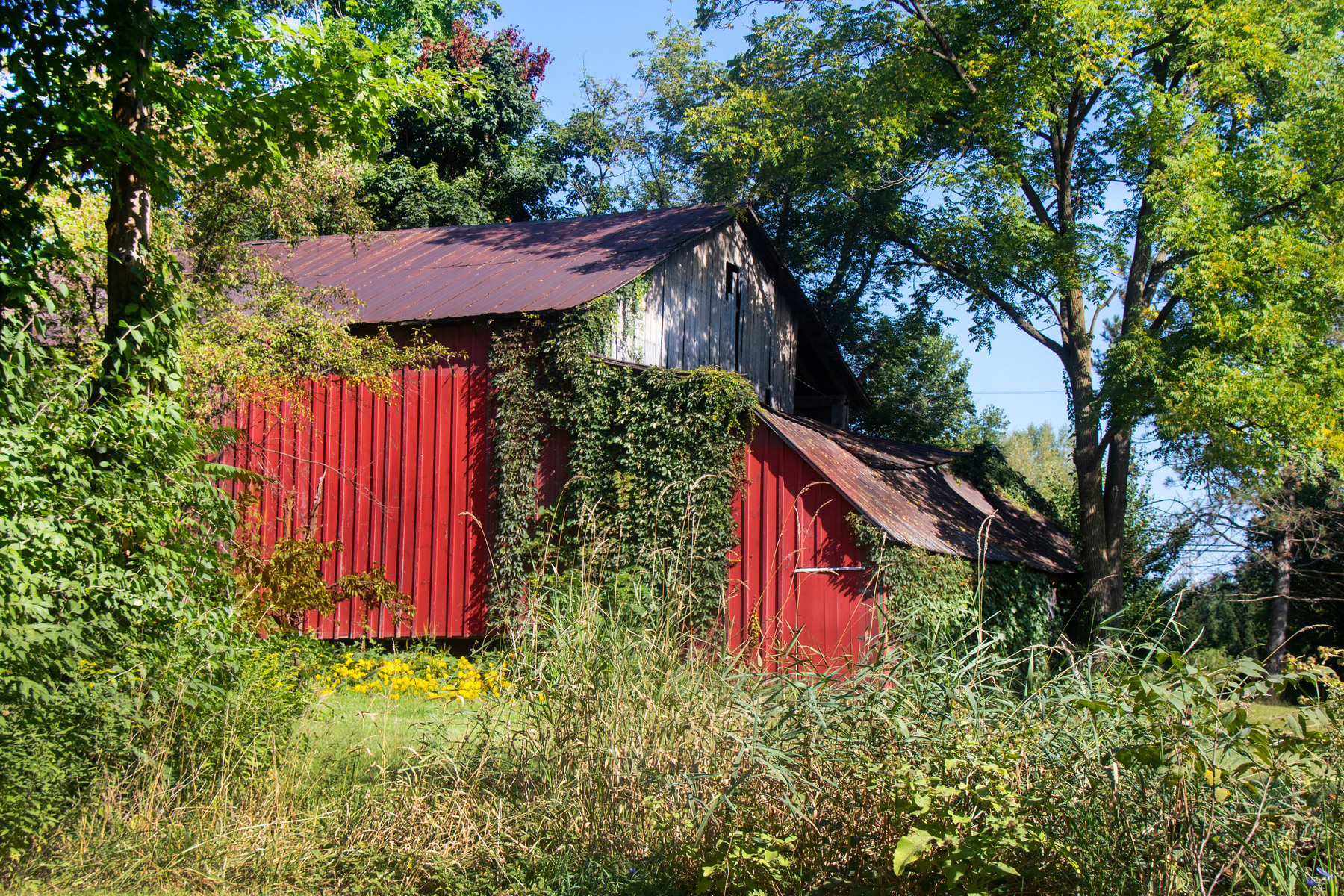 the barn I used to play in