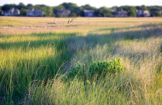 landscape south gallery
