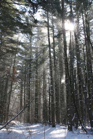 mi_stinchfield_0743
