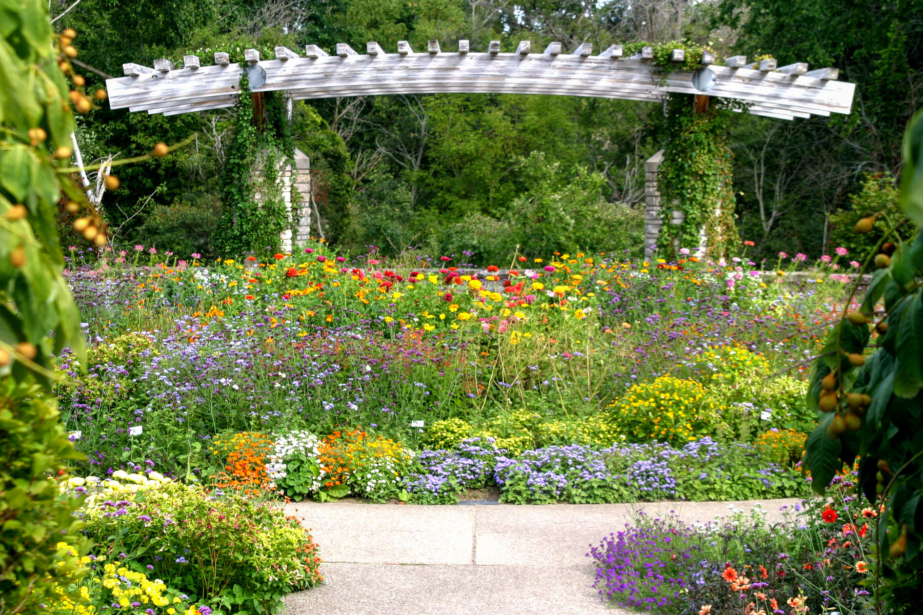 Mattheai Botanical