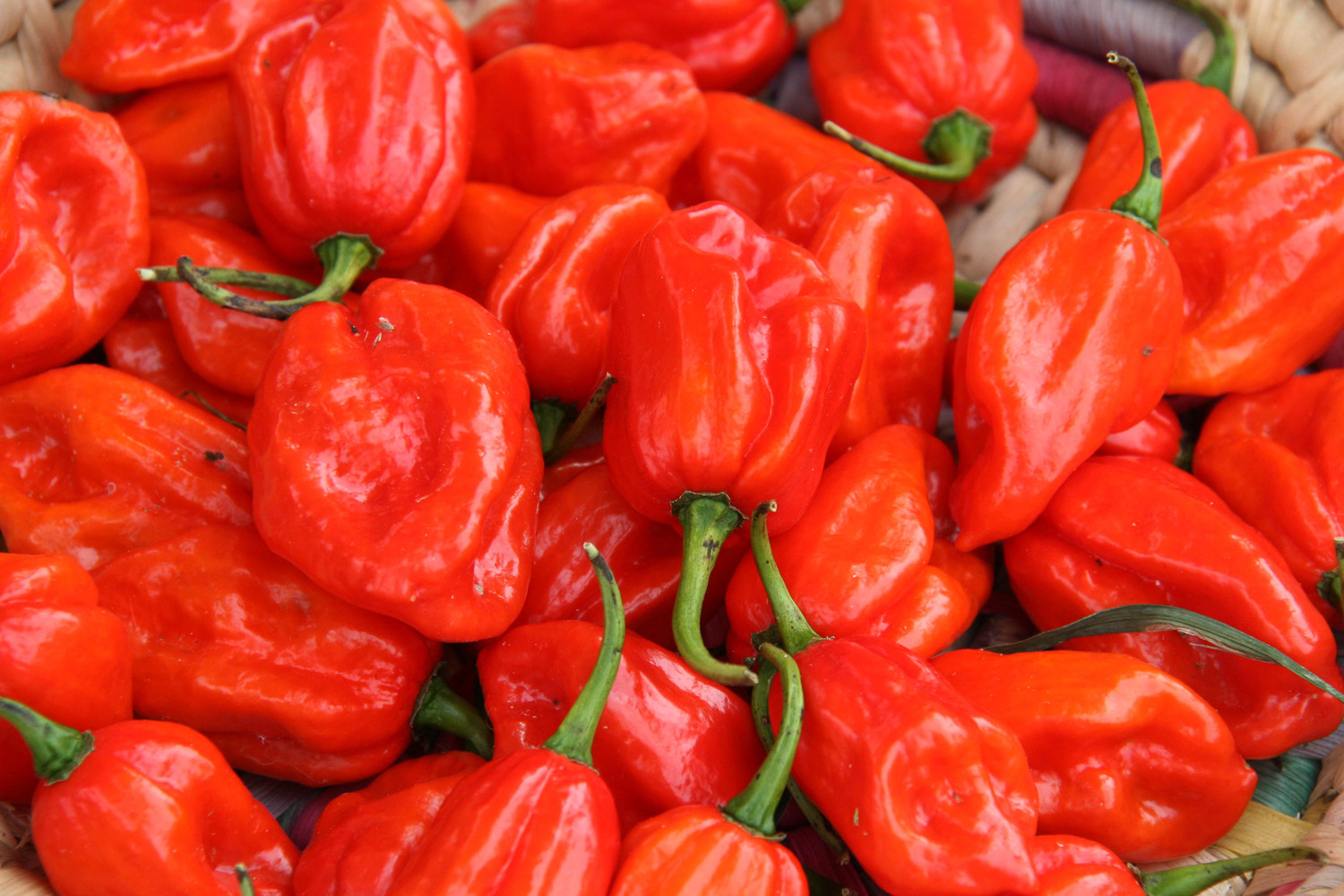 red peppers