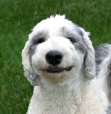 do_smiling