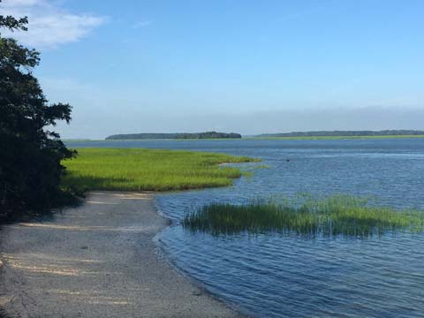 sc_marshland_018