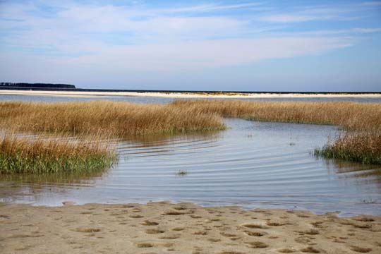 sc_backyard view_004