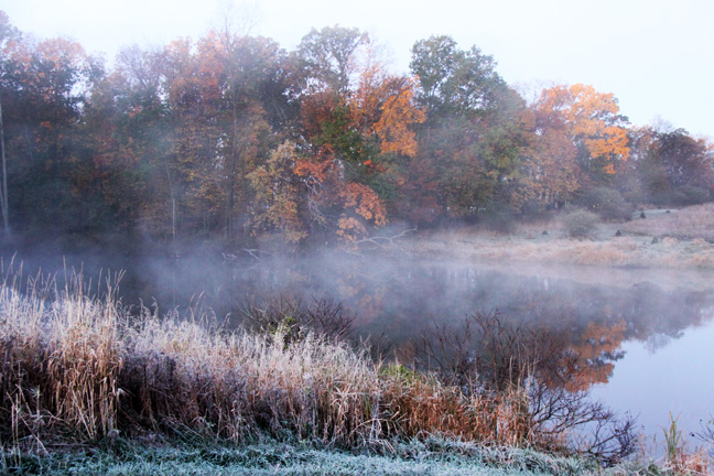 mi_frosty morning_016
