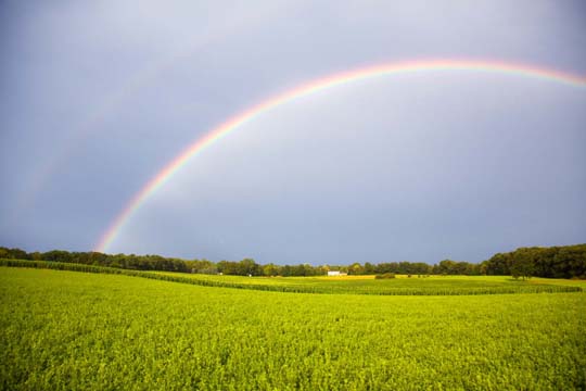 mi_zeeb rainbow_0283