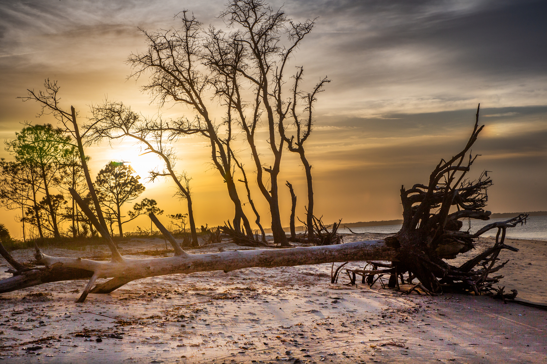 SUnset at Dolphin Point