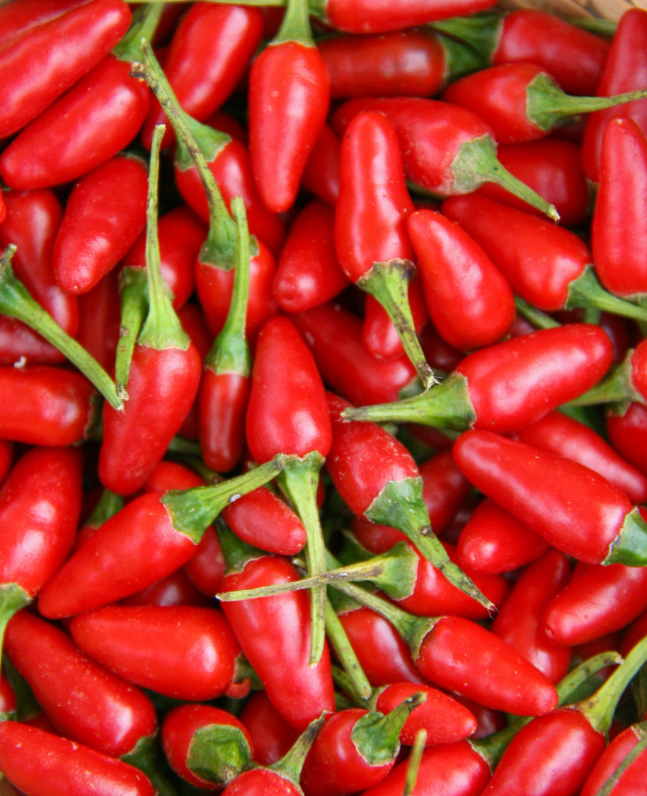 red hot chilis