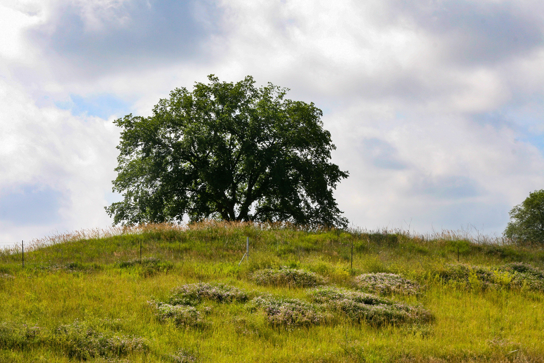ia_rocky hill_