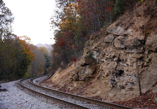 wv_ 462