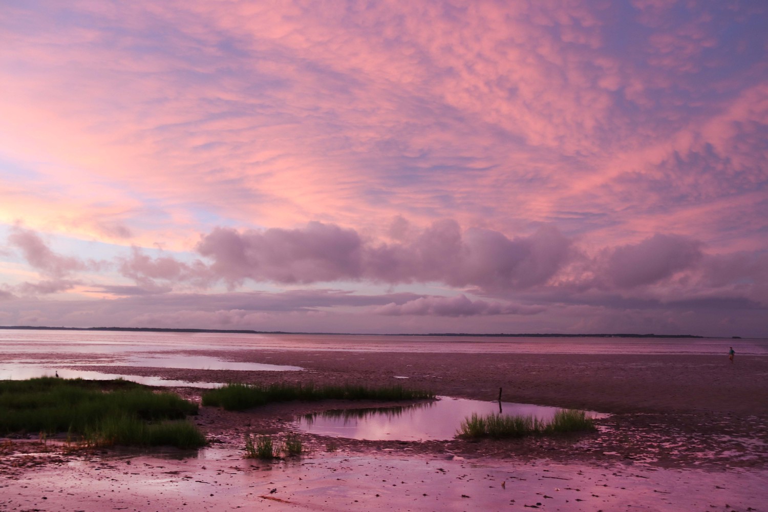 pink skies