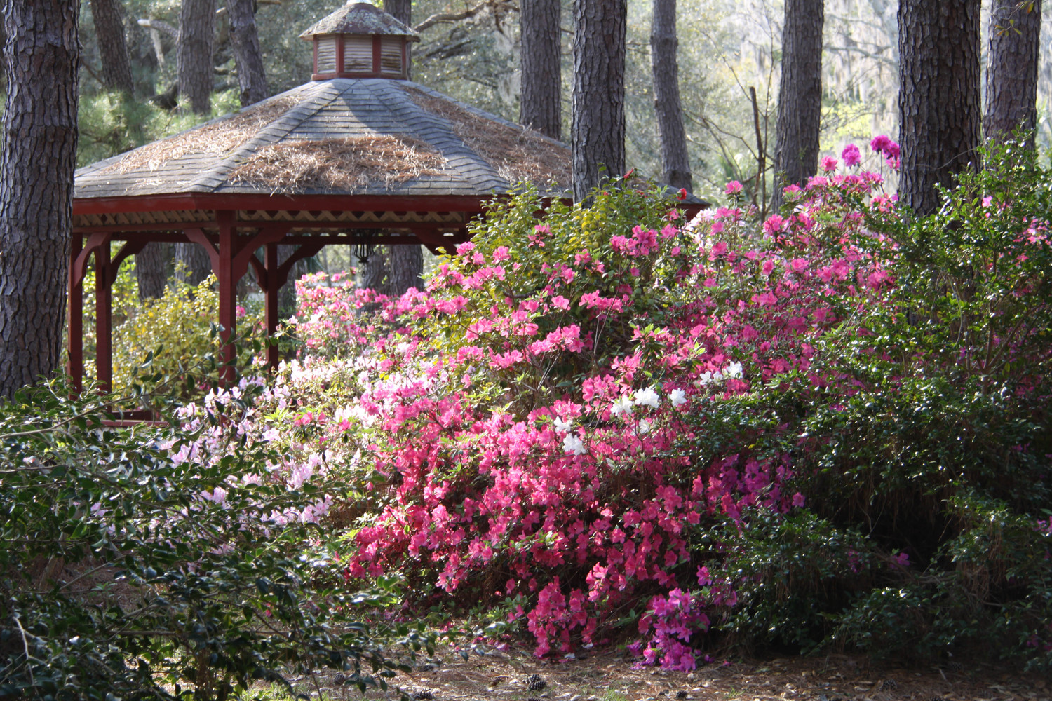 the pagoda