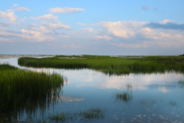 more clouds on the marsh_017