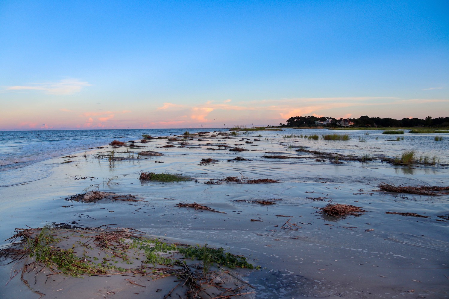 king tide