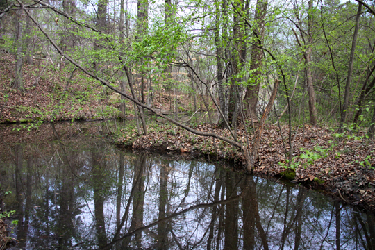 nc_Around the bend 030