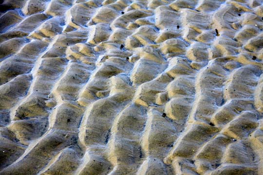 ocean floor exposed 074