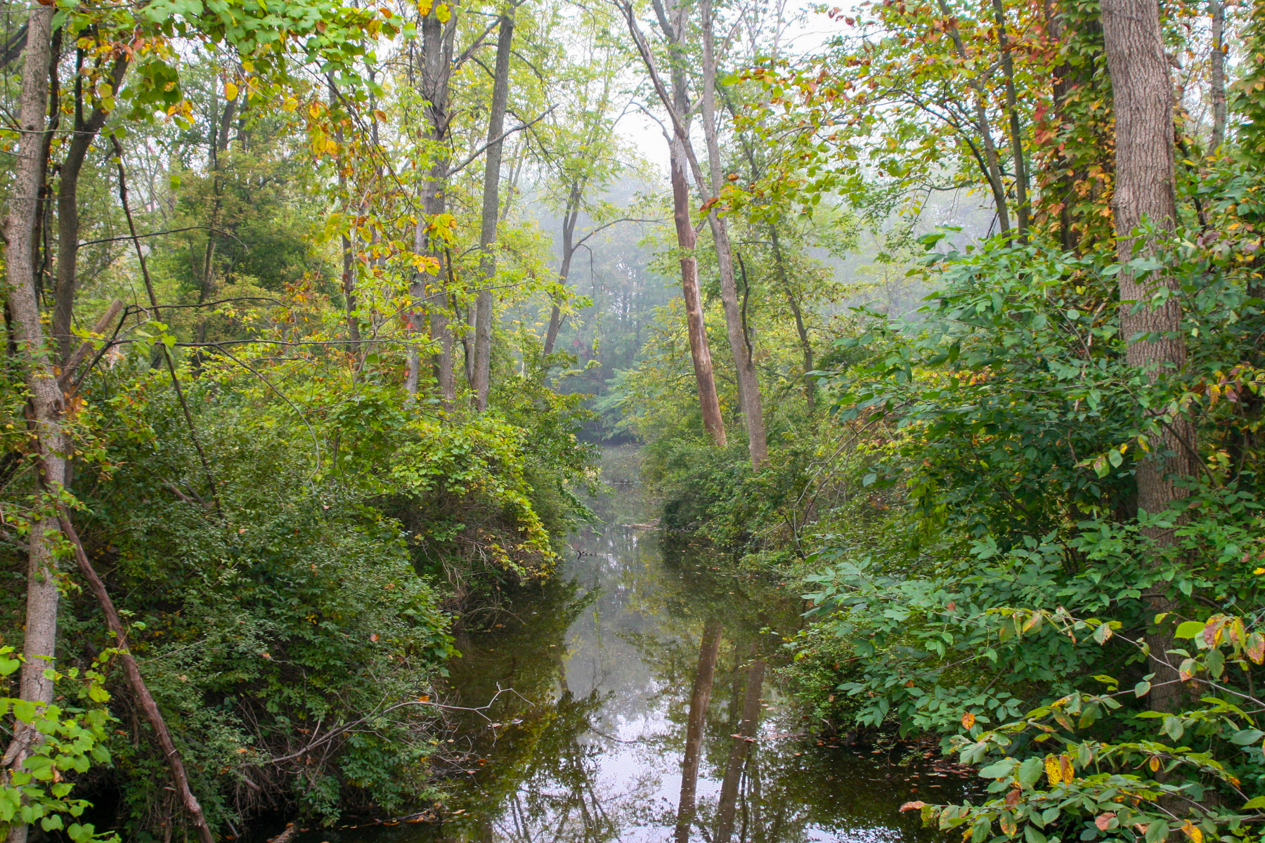 brayden creek
