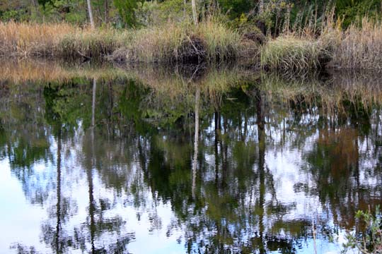 sc_reflections_059