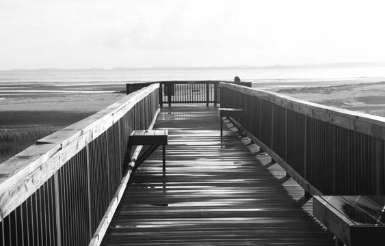morning coffee_010