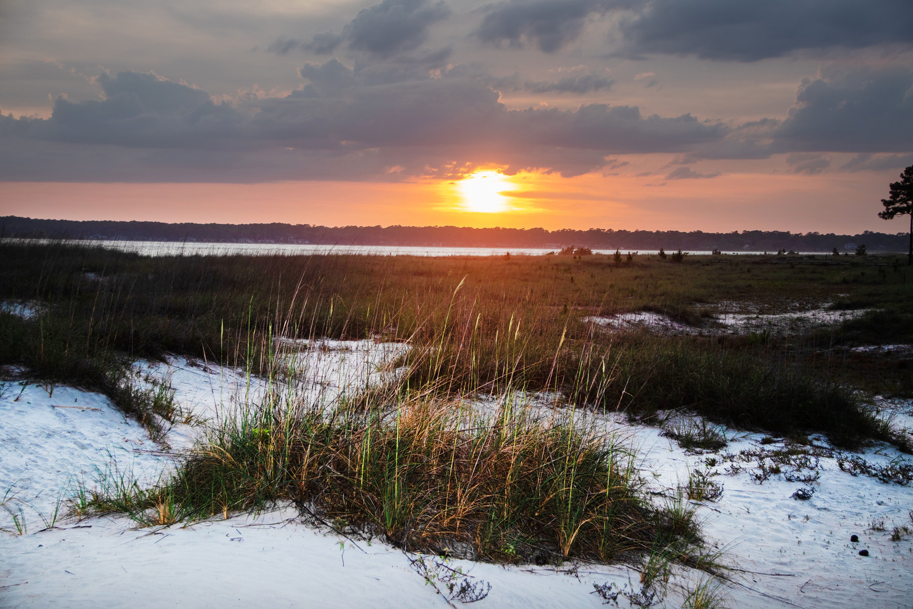 Tower beach at sunset