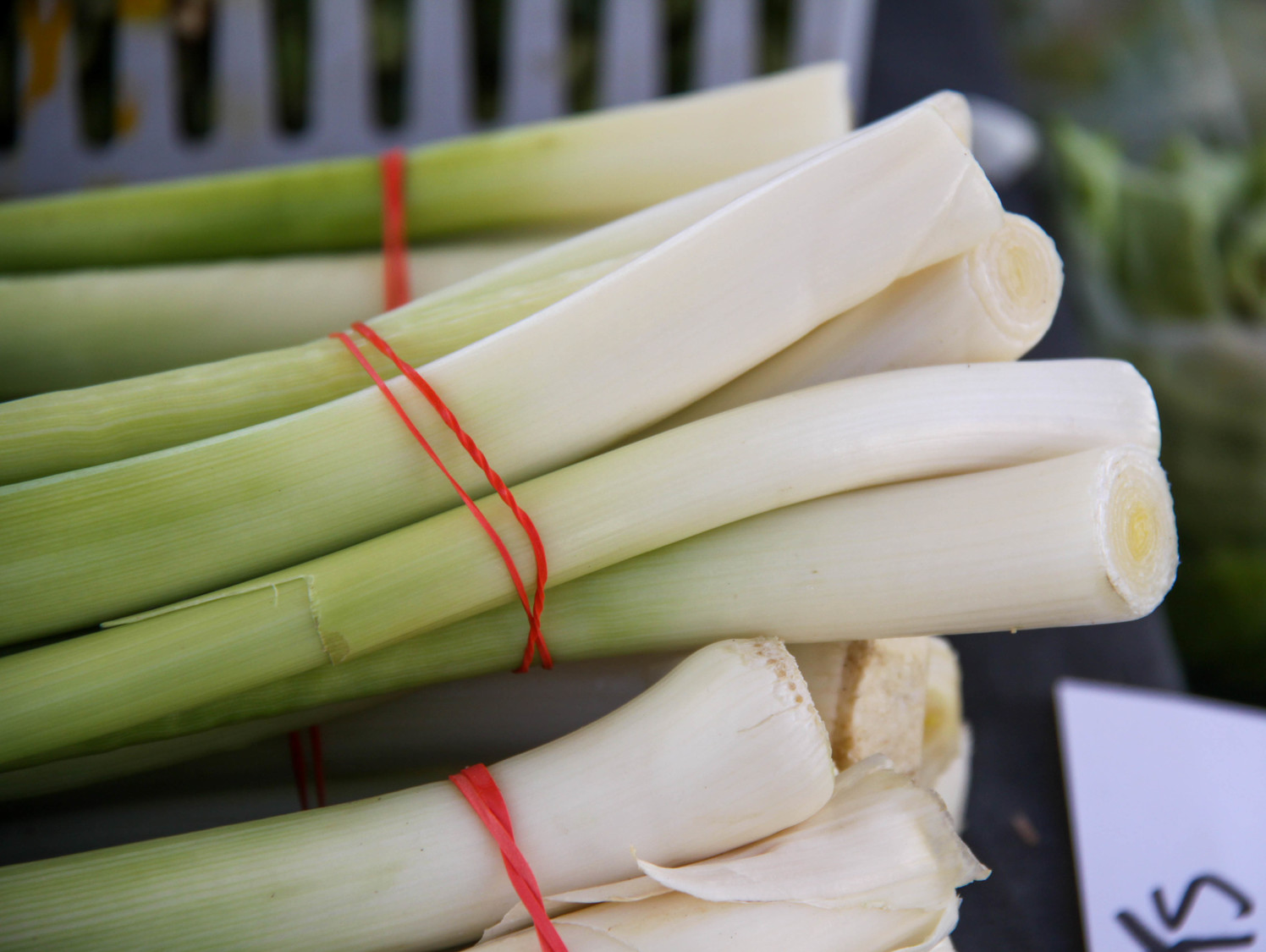 onions
