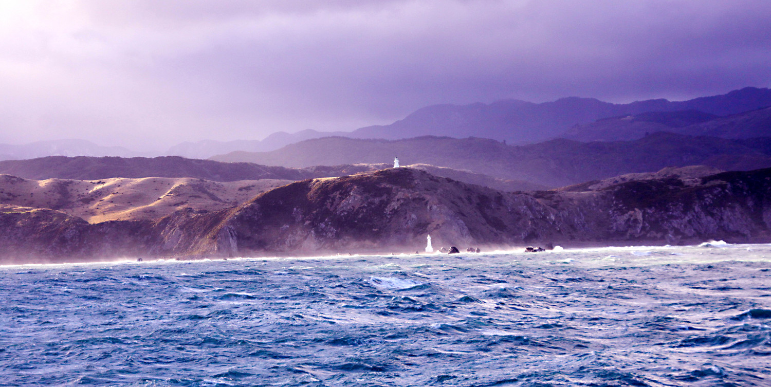 coming into wellington