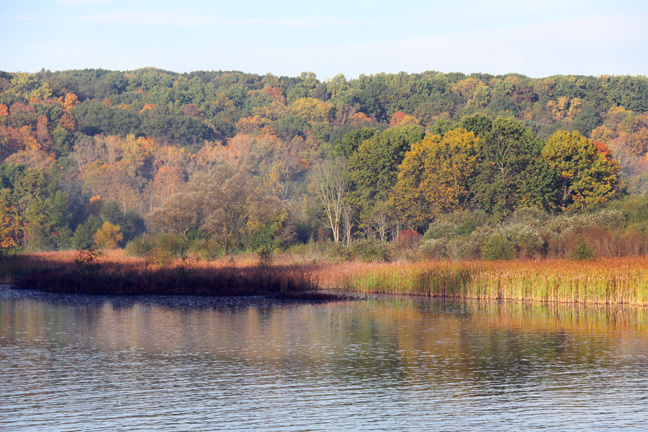 riverbank_321
