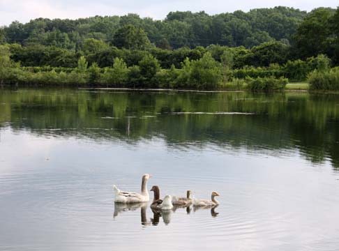 3_bi_On gallup pond_ 031