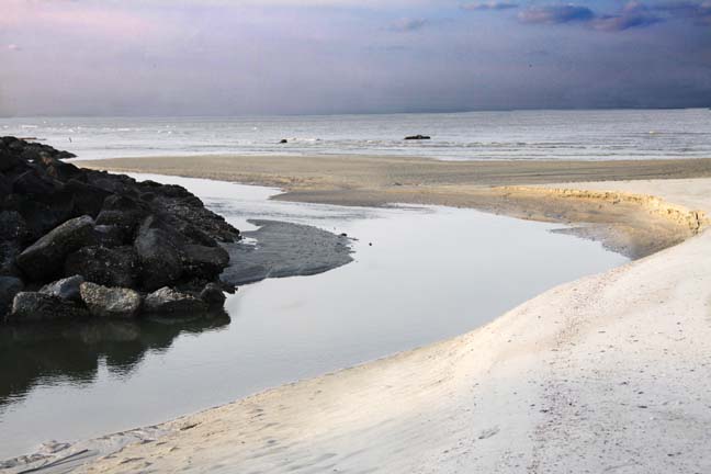 landscape gallery_south