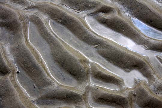 ocean floor exposed 070