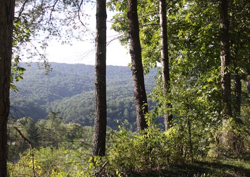 va_peak_ 102