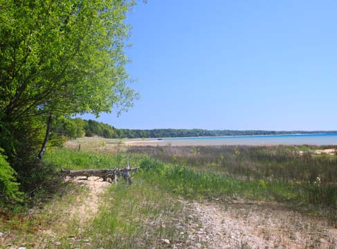 mi_The Bay_0295
