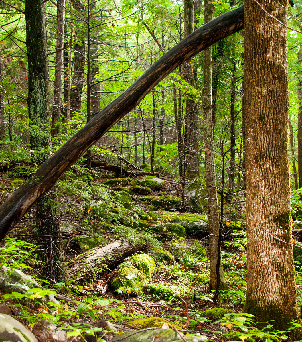 smokey mountains hike