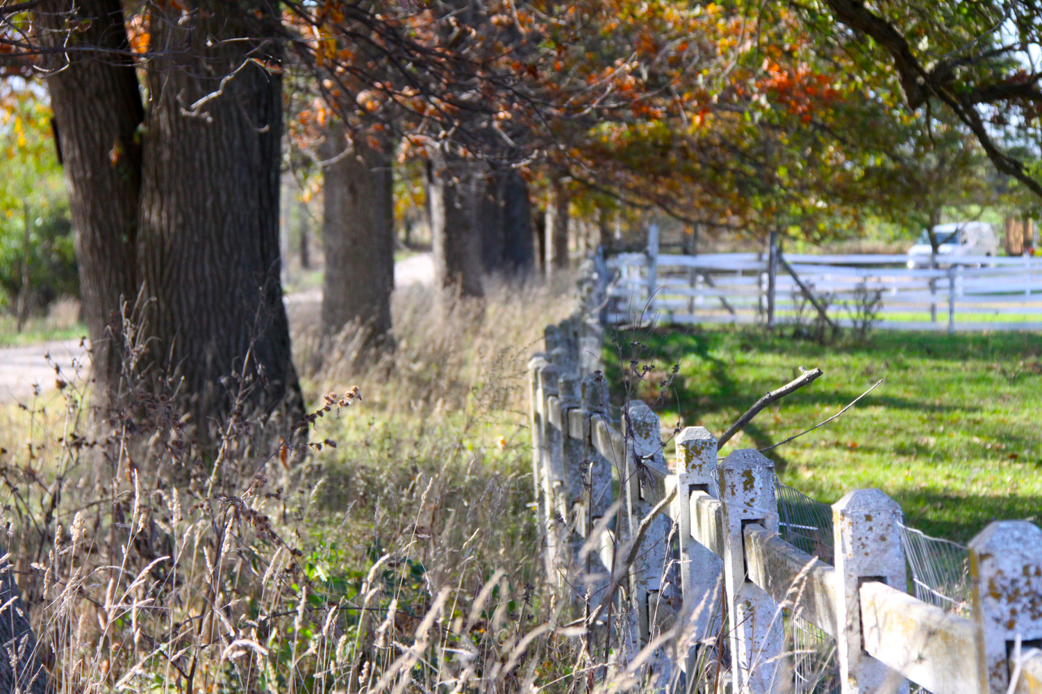 Joy Road concrete fence