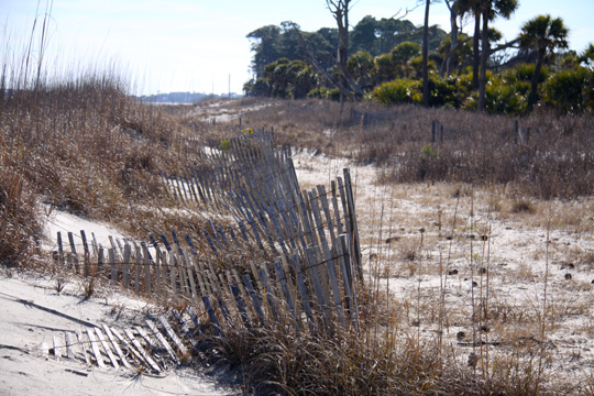 sc_beach fence_295