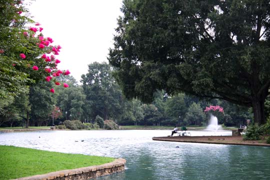 nc_Freedom Park 081