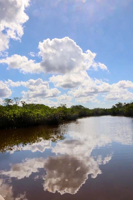 clouds in the everglades_241