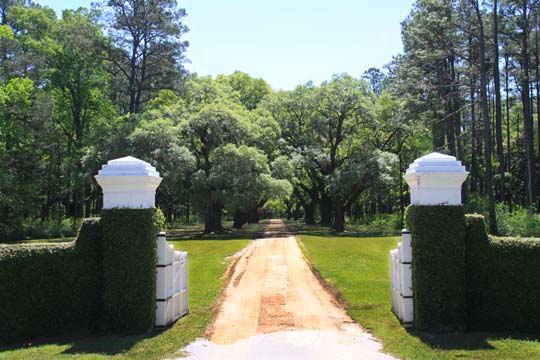 landscape gallery south
