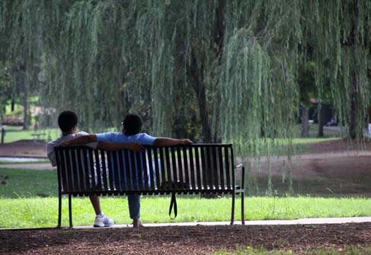 nc_Park Bench 053